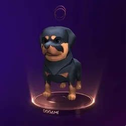 Puppy