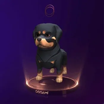 Dogami