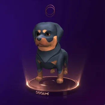 Dogami