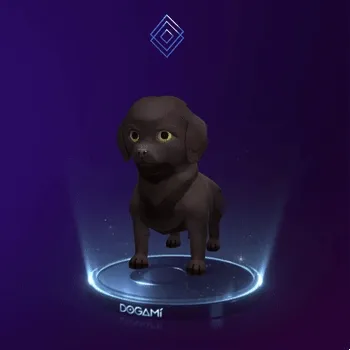 Dogami