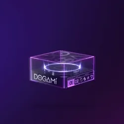 DOGAMI #11731