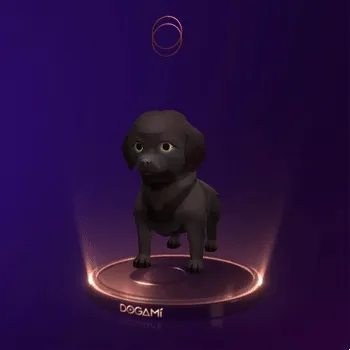 Dogami