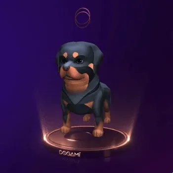 Dogami