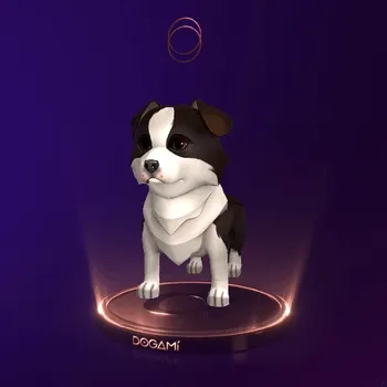 Dogami
