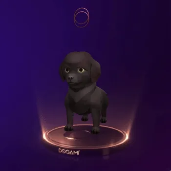 Dogami