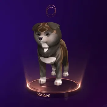 Dogami