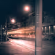 chaoticmonk.lens-Collect-2232