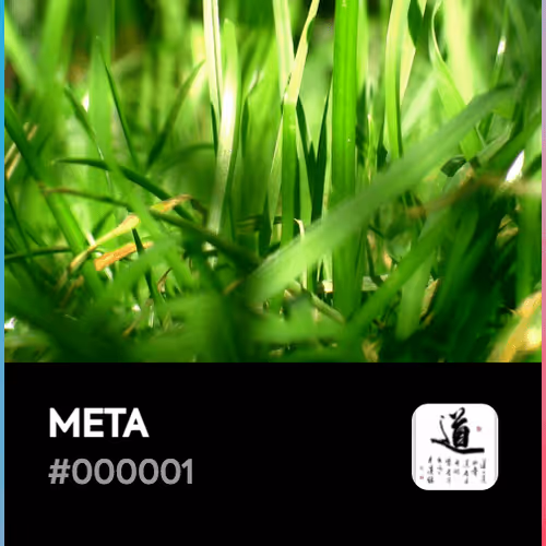 META - FRoxcL2juV