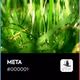 META - FRoxcL2juV