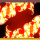 Metawizard55 V3