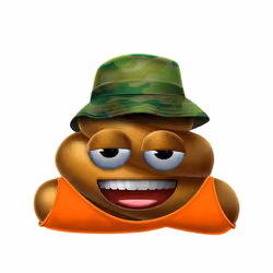 Poo #556