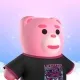 8048
