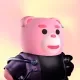 5334