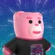 9243