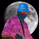 5203