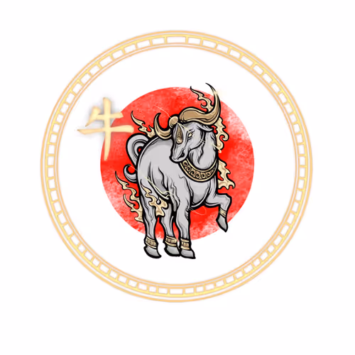 Item #20210214 Media