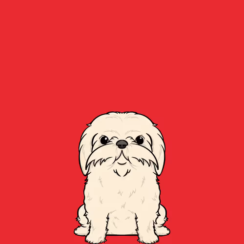 Item #20000323 Media