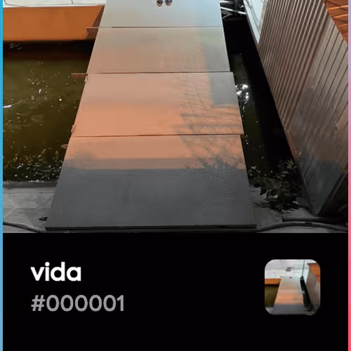 vida - V5eb79YbWz