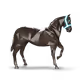 84759