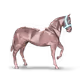 39757