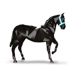 204012