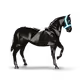 186206