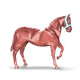 76583