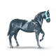 124576
