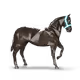139111