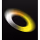 10655