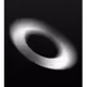 1010