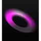 13031