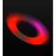 17137