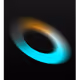 21602