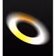 50600