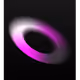3031