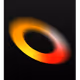 56607