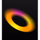 56356