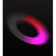 1173