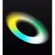 25040