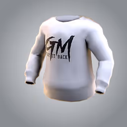 Gm sweatshirt
