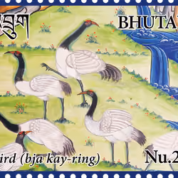 Bird, Nu.25
