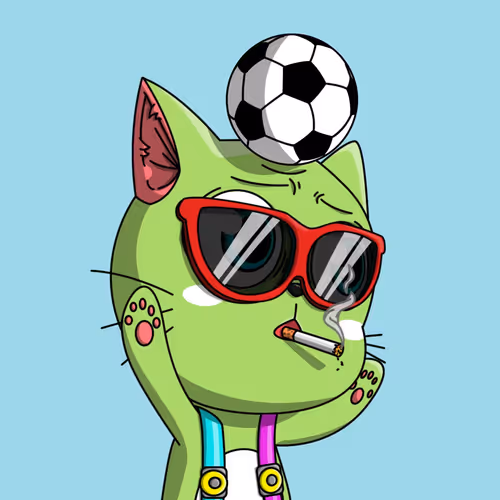 Catnopia