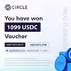 $1099 USDC