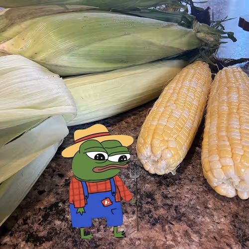 xrami.lens-Collect-2064