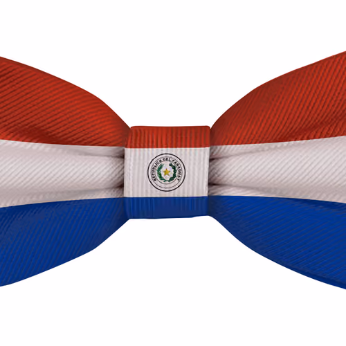 Paraguay Flag Bow Tie #133