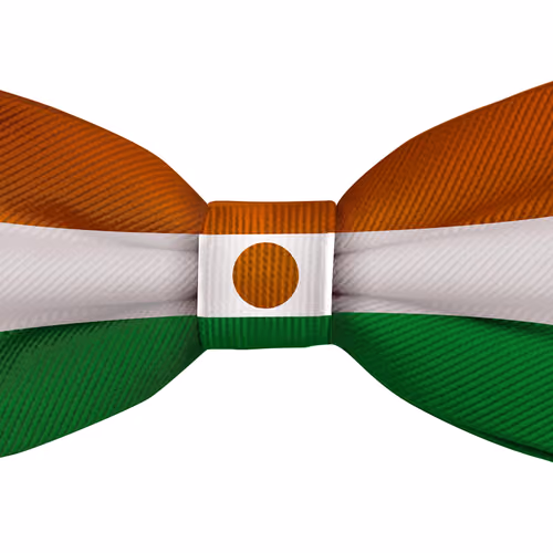 Niger Flag Bow Tie #123