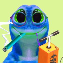 2592
