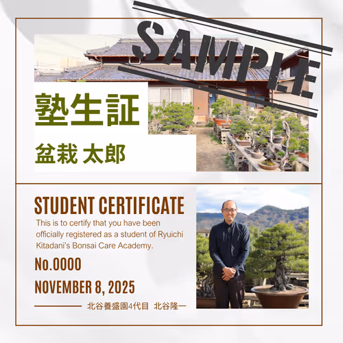 KitadaniBonsaiCertificates