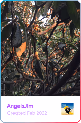 AngelsJim